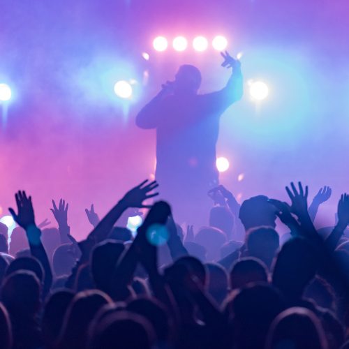 concert, silhouettes of happy people raising up hands, Music sho